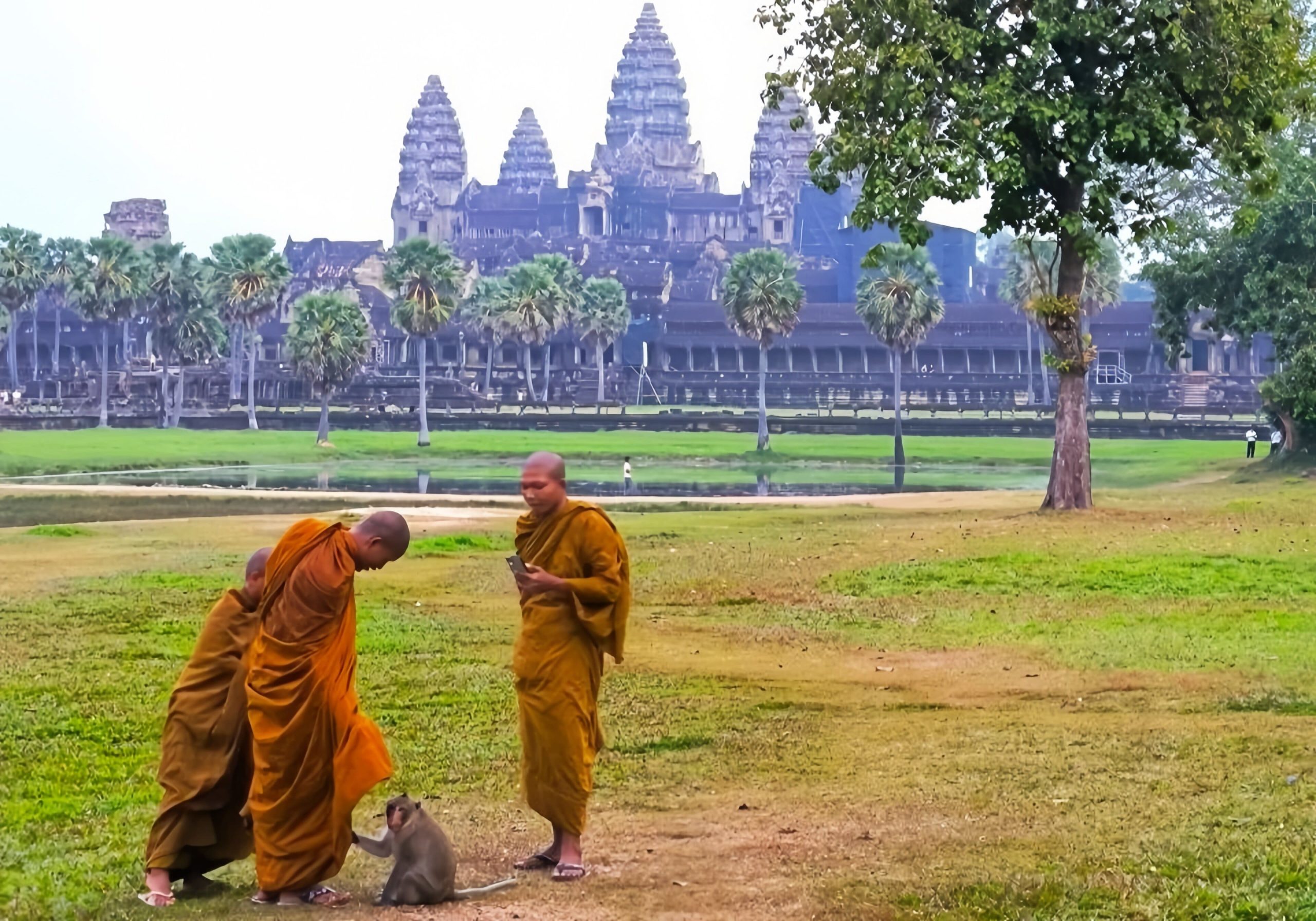 Monk in angkor wat