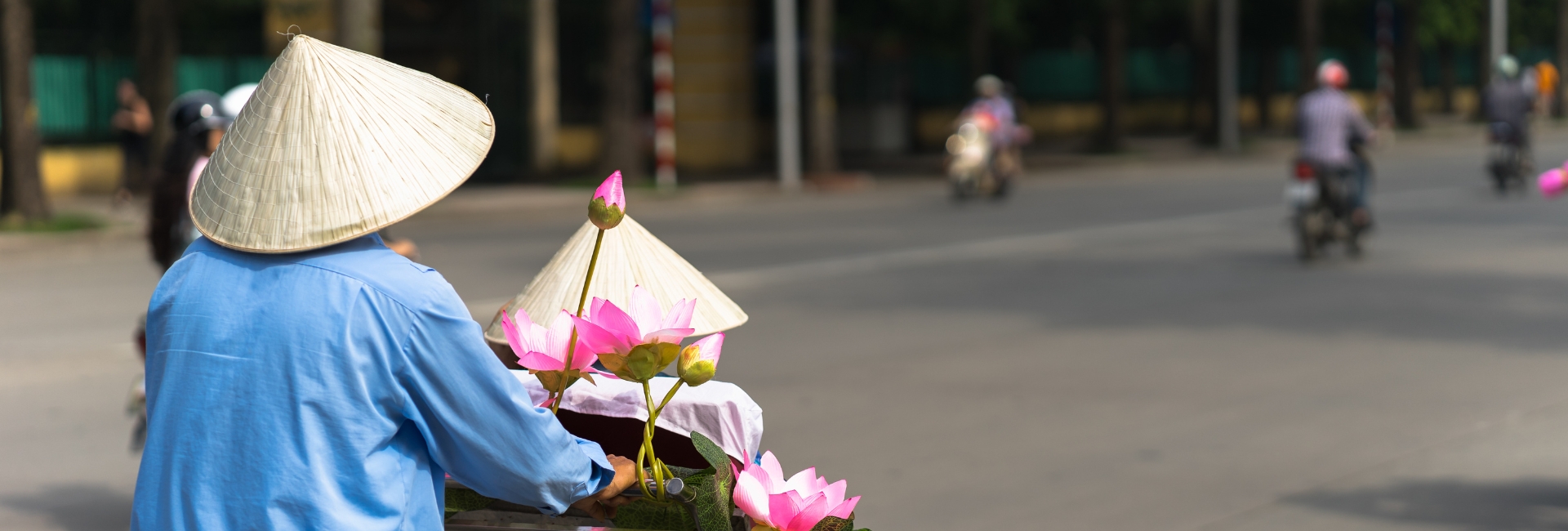 How many ways to get from Hanoi to Ho Chi Minh City?