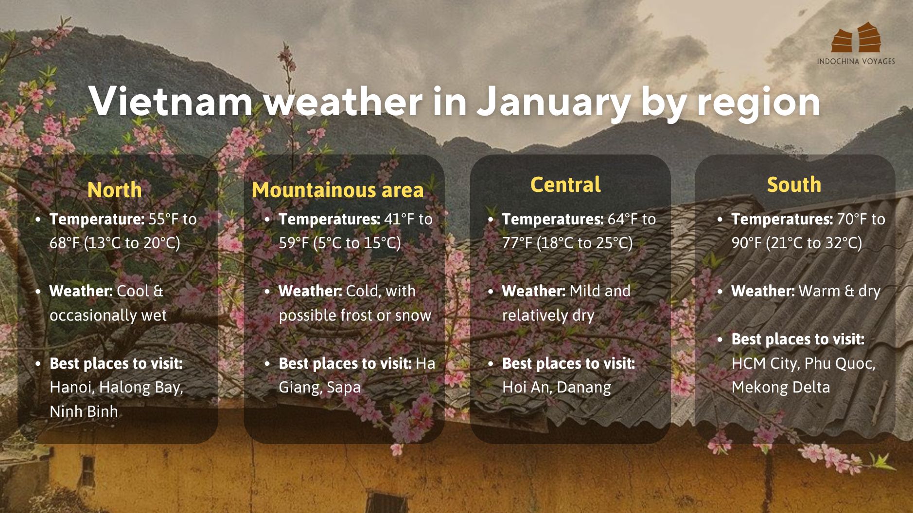 vietnam weather in january infographic