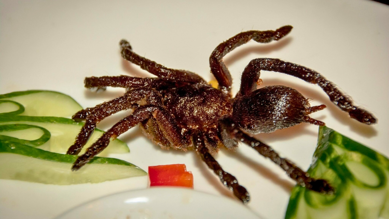 Fried Tarantula