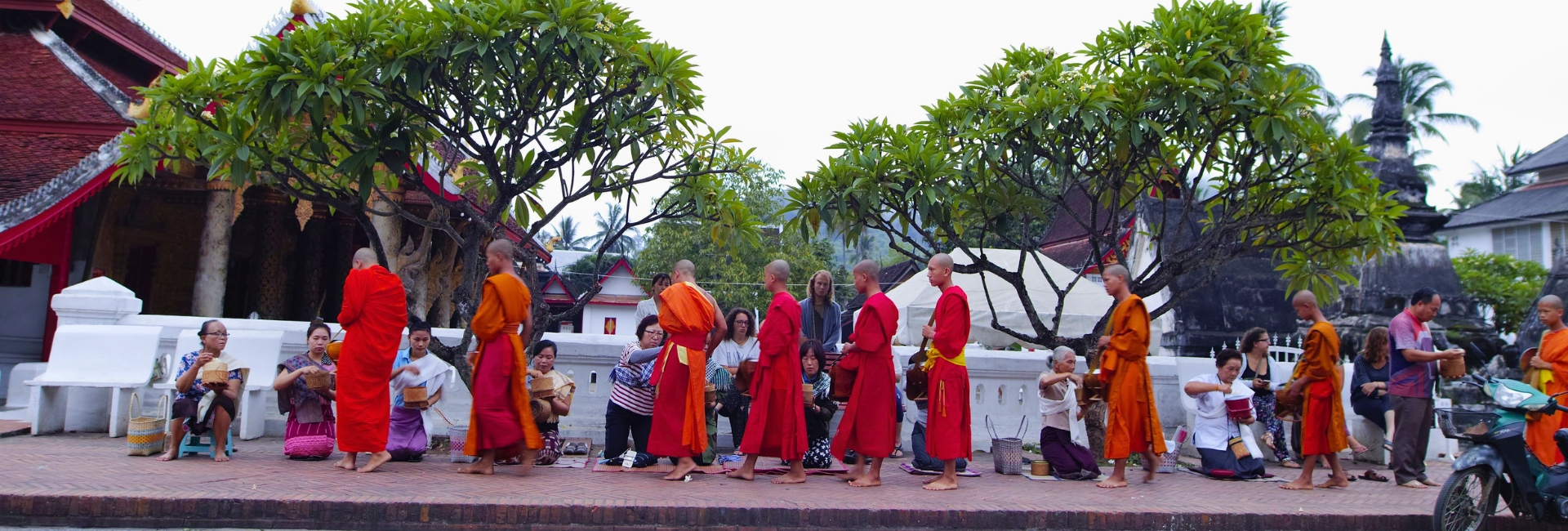 Alms Giving Ceremony in Luang Prabang: All you need to know before coming