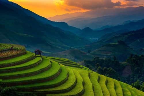 Mu Cang Chai Local Travel Guide - Vietnam's most beautiful rice terraces