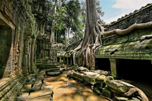 Ta Prohm Temple - All You Should Know Before Visiting In 2022