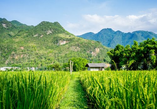 Exploring the beauty of Mai Chau valley in Vietnam