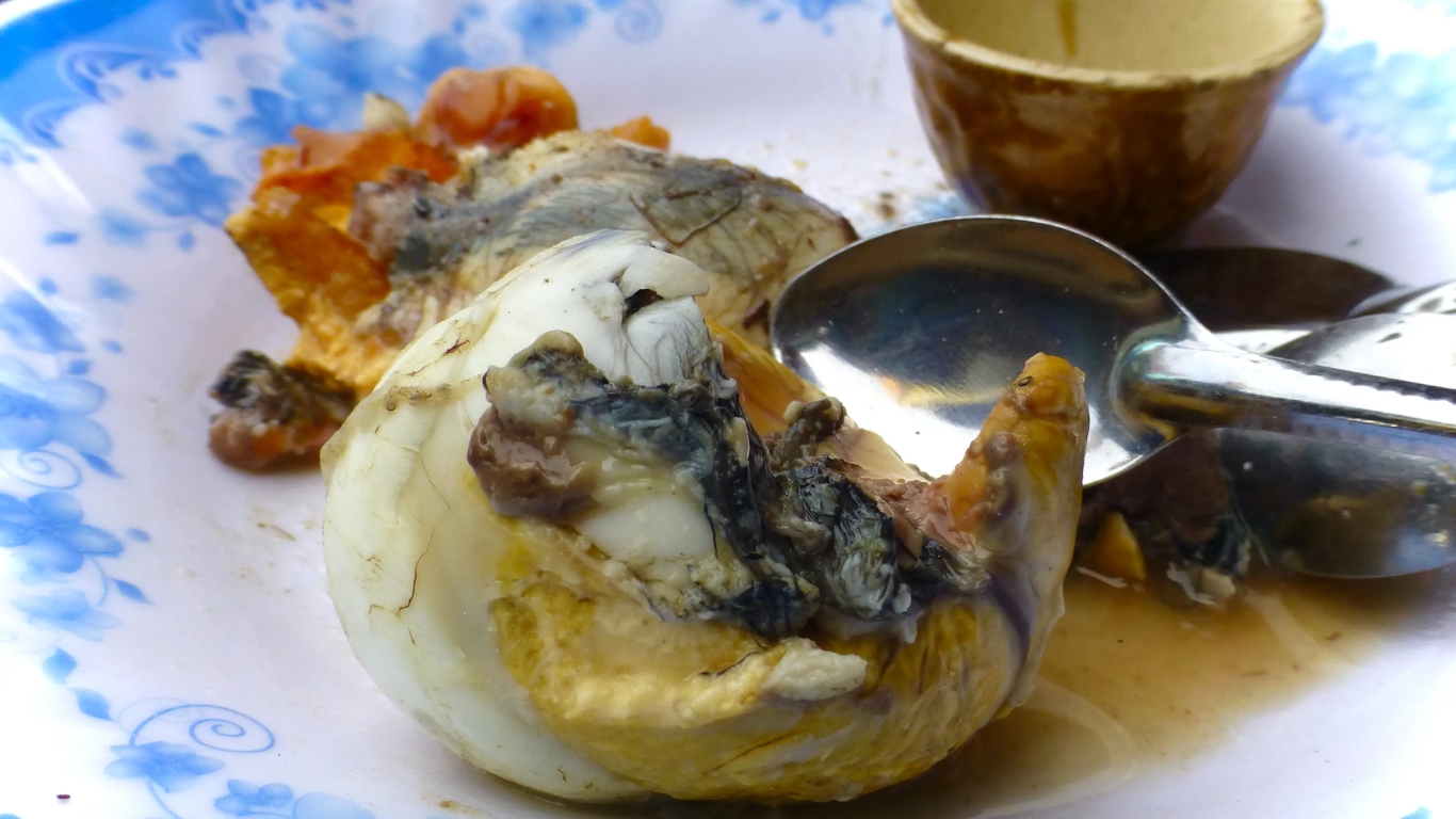 Balut Egg