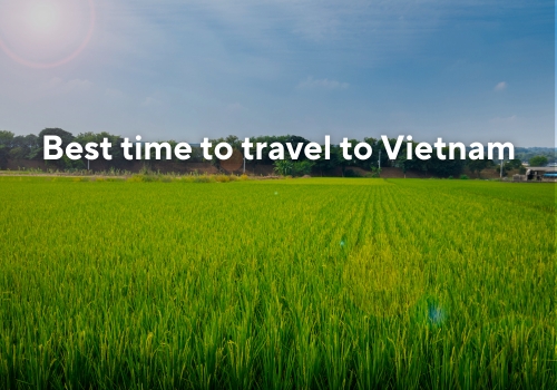 When is the best time to travel to Vietnam?