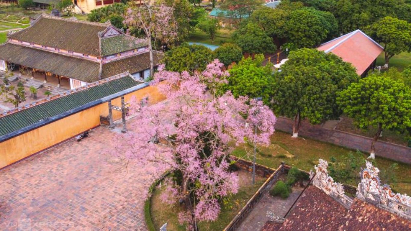 Imperial Hue citadel in February