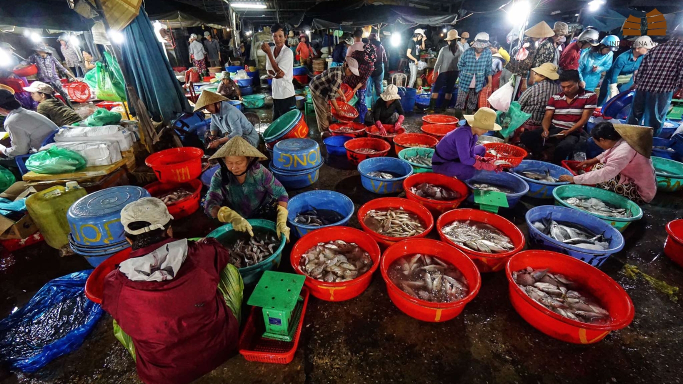 Diversity of fish is traded in Thanh Ha Fish Market