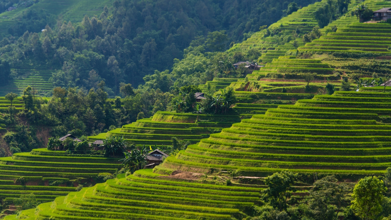 Vietnam Mountainous Area