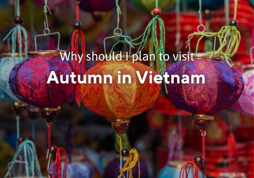 Why Should I Definitely Plan a Trip in Autumn in Vietnam?