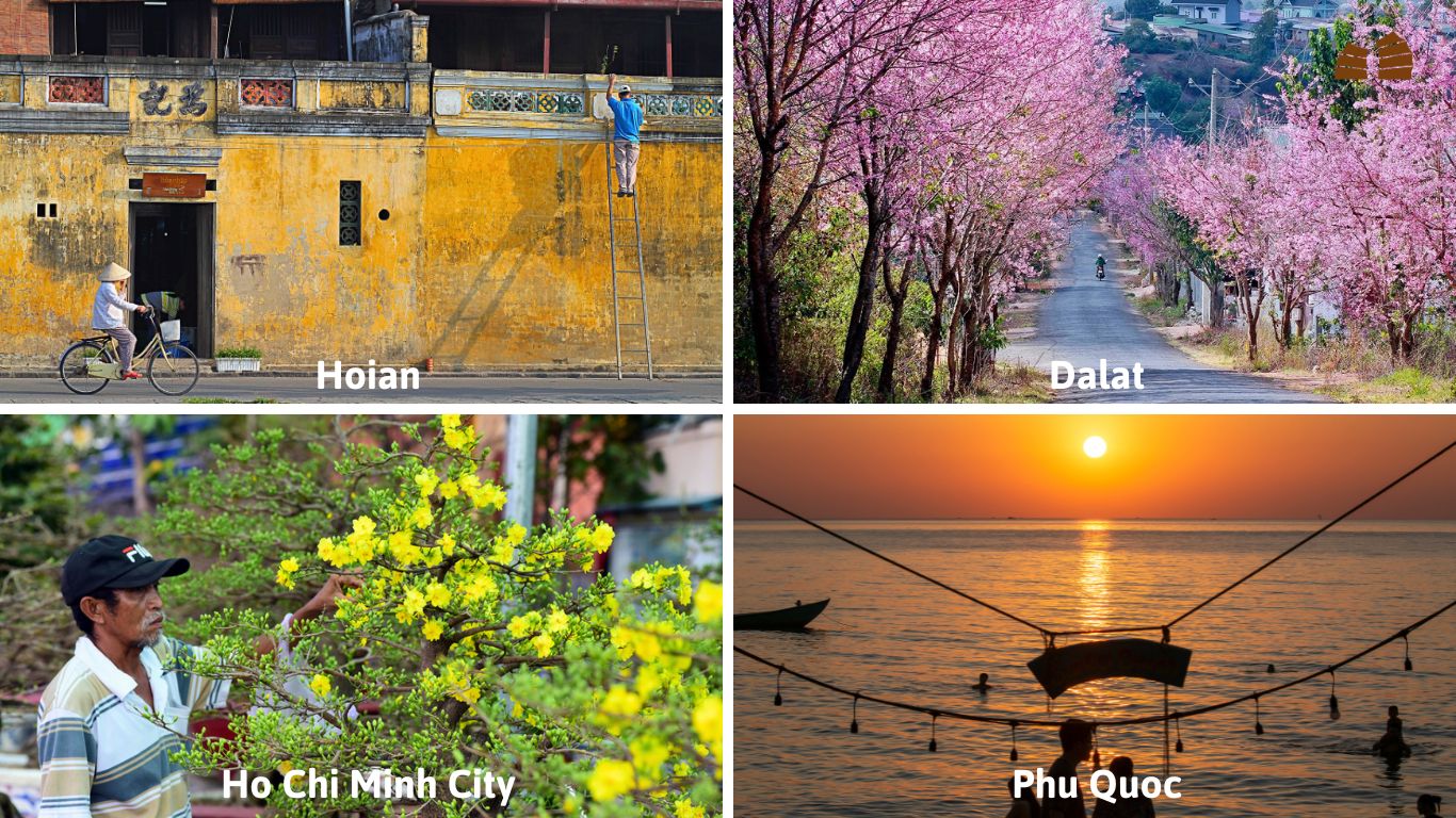 hoi an - dalat - ho chi minh city - phu quoc