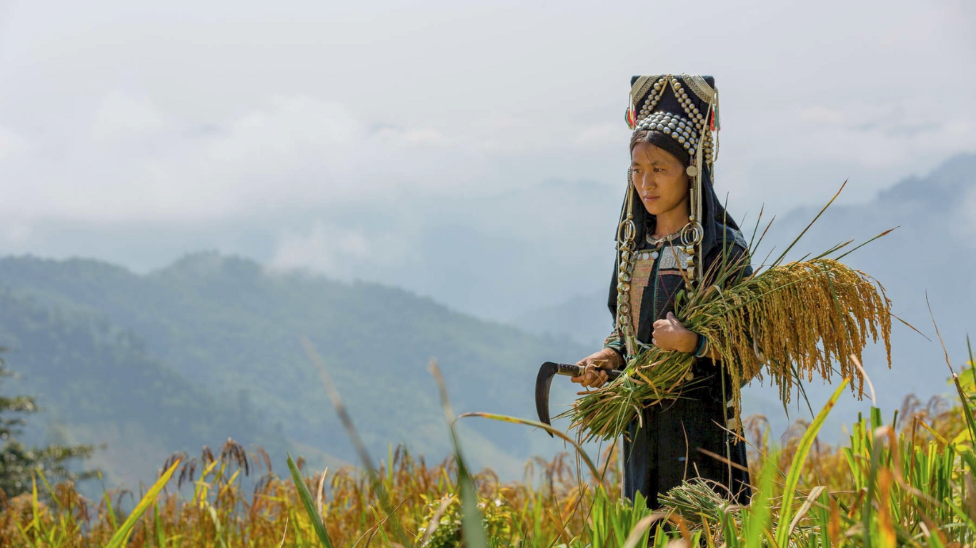 Unique Phongsali in Laos