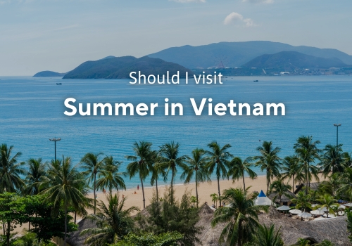 Is worth it for me to plan to visit Summer in Vietnam?