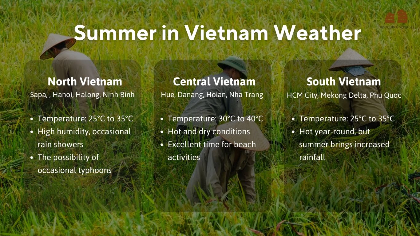 Vietnam in summer by region