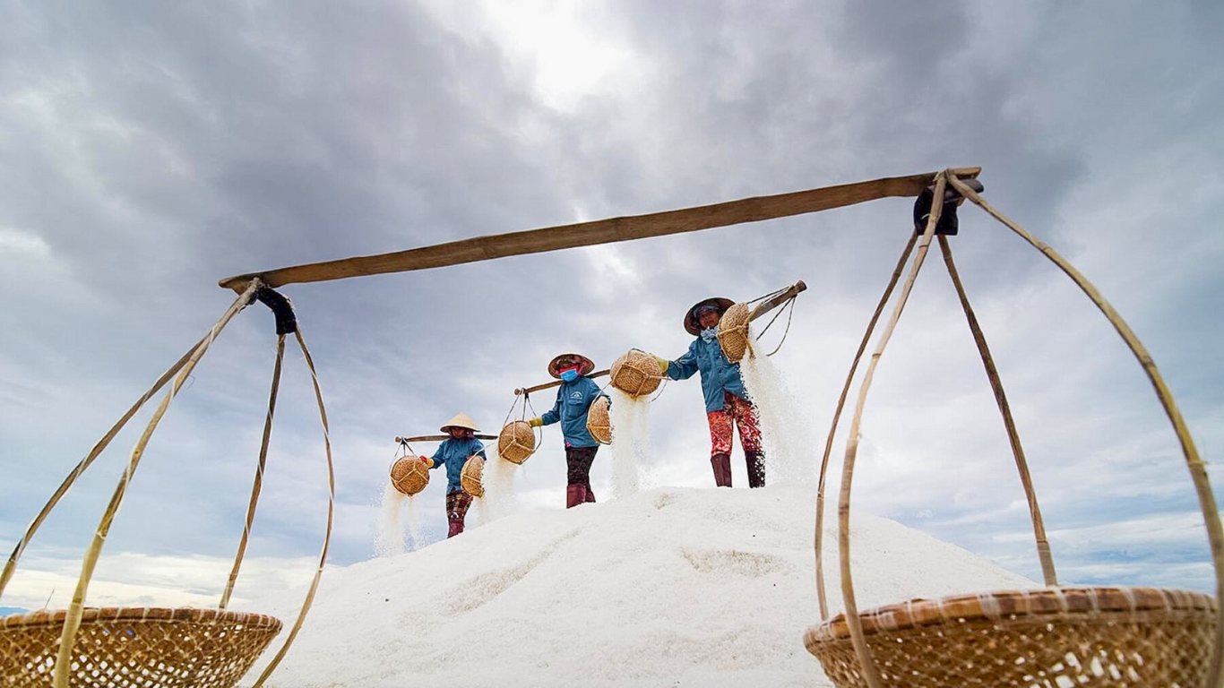 Ninh Diem Salt Fields