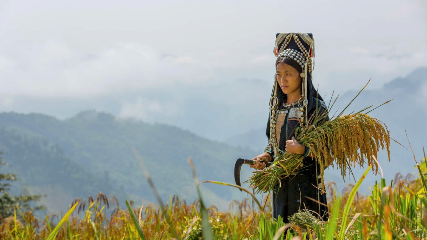 Explore unique cultures and beautiful landscape in Phongsali