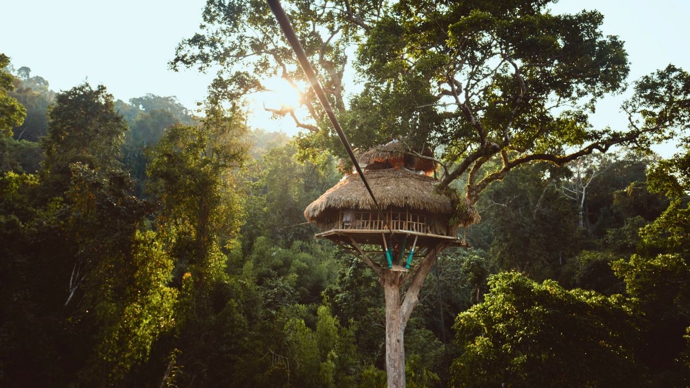 Gibbon experience in Huay Xai Laos