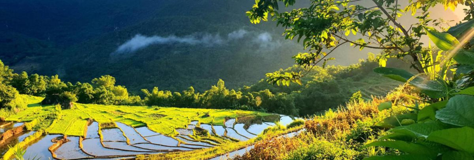 How to get from Hanoi to Pu Luong? An ultimate guide for perfect itinerary