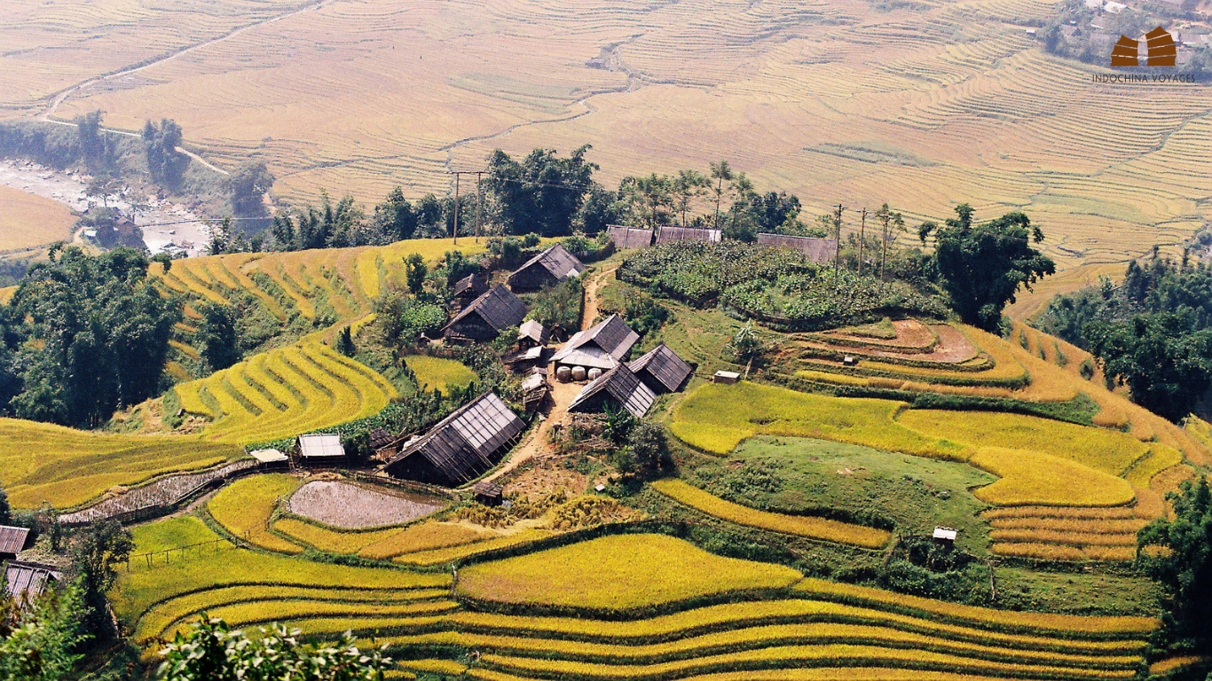 Where is the best place to see best rice fields in Vietnam? 10 best rice fields from North to South